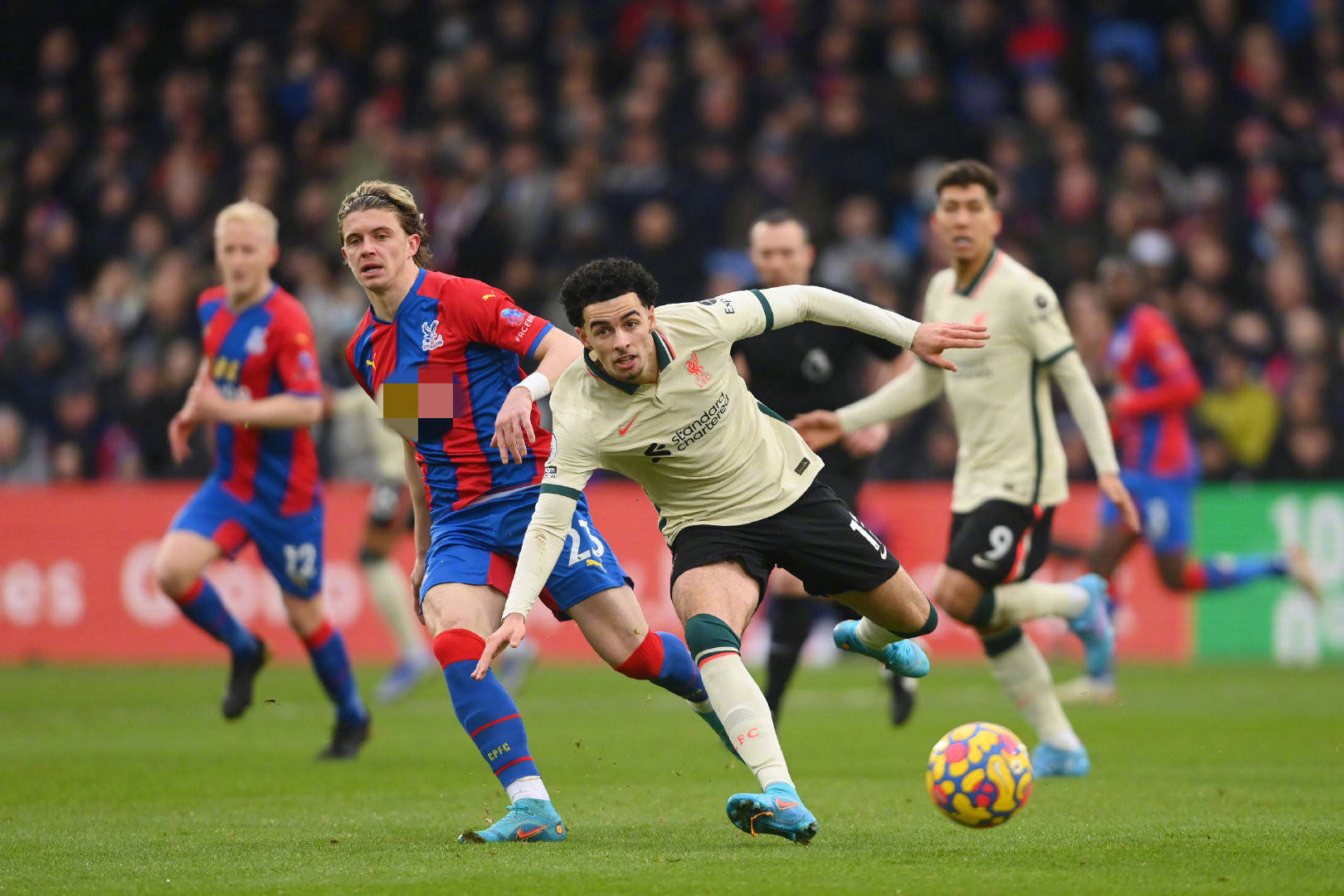 的加盟不仅 的加盟不仅